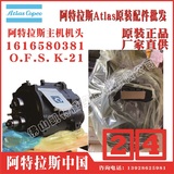 1616677081 1616585181 1616747281 1616580381 1616590481 1616630581 1616635681阿特拉斯主机机头