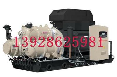 C400 C700 C800 C950 C1000 3CII C3000 3C 4C 5CII CH5 CH6 2CII 2CIIDF英格索兰MSG® Centac® 离心式压缩机Ingersoll Rand