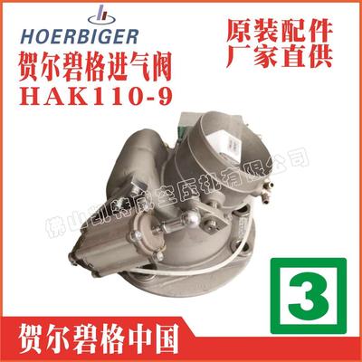 665438-120贺尔碧格气缸卸荷阀HOERBIGER空压机配件浙江台湾